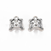 Подвески из сплава в тибетском стиле TIBEP-N010-013AS-RS
