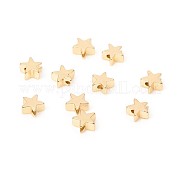 Латунные бусины KK-WH0034-01C-G
