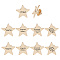 10Pcs 5 Styles Enamel Pins, Golden Alloy Brooches, for Backpack Clothes, Star, 20.5x20.5x1.5mm, 2pcs/style
