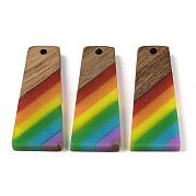 Подвески Pride на тему радуги из смолы и орехового дерева WOOD-K012-10B