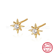 Серьги-гвоздики из стерлингового серебра для женщин PD9987-1