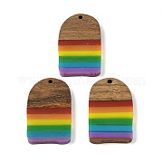 Подвески Pride на тему радуги из смолы и орехового дерева WOOD-K012-02