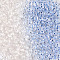 Iridescent Transparent Glass Seed Beads, Rondelle, Cornflower Blue, 4~5x3~4mm, Hole: 1~1.2mm, about 6428pcs/pound