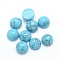 Synthetic Turquoise Cabochons, Half Round, 6x3~3.5mm