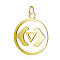 PVD Vacuum Plating 304 Stainless Steel Pendants, Chakra, Ajna, Flat Round, Real 18K Gold Plated, 22.5x19x1mm, Hole: 3mm