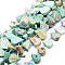 Natural Peruvian Turquoise(Jasper) Beads Strands, Teardrop, 12~20x5~15x3~7mm, Hole: 0.8mm, about 24pcs/strand, 15.04''(38.2cm)