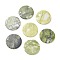 Natural Chinese Jade/Southern Jade Beads, Flat Round, 49x4~5.5mm