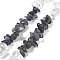 Natural Quartz Crystal & Iolite Beads Strands, Chip, 4~17x4~10x1~8mm, Hole: 0.8~1mm, about 116~131pcs/strand, 15.35''~16.14''(39~41cm)