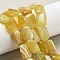 Natural Yellow Agate Beads Strands, Dyed & Heated, Rectangle, 18x13x5mm, Hole: 1mm, about 10~11pcs/strand, 7.28''~7.87''(18.5~20cm)