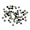 Paua Shell Cabochons, Half Round, 8x3mm