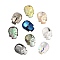 Glass Rhinestone Cabochons, Flat Back & Back Plated, Faceted Skull, Mixed Color, 10x7.5x2.5mm