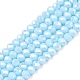 Стеклянные бусины с гальваническим покрытием  EGLA-A044-P3mm-B06-1