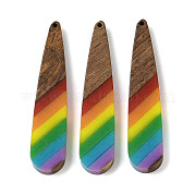 Подвески Pride на тему радуги из смолы и орехового дерева WOOD-K012-05B