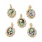 Abalone Shell/Paua Shell Pendants, with Brass Micro Pave Cubic Zirconia Findings, Oval with Rose Charm for Valentine's Day, 21x15.5x6mm, Hole: 5x2.5mm