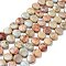 Natural Aqua Terra Jasper Beads Strands, Flat Round, 14x5.5mm, Hole: 1.2mm, about 29pcs/strand, 15.94''(40.5cm)