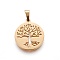 304 Stainless Steel Pendants, Flat Round with Tree, Golden, 19~20x16~17x1.5mm, Hole: 5x2.5mm