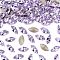 Preciosa® MAXIMA Crystal Fancy Stones, Czech Crystal, 435 14 615 Navette(Horse Eye), Dura Foiling, 20310 Violet, 8x4mm