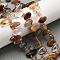 Natural Rutilated Quartz Beads Strands, Nuggets, Top Drilled, Tumbled Stone, with Seed Beads , 9.5~20x4~9x4.5~6mm, Hole: 1mm, about 49~60pcs/strand, 14.96''~16.14''(38~41cm)