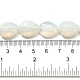 Opalite бисер пряди G-P561-B015-01-5