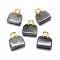 Natural Labradorite Brass Pendants, Golden, Bag, 27~29x24~26x9~13mm, Hole: 6mm