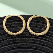 Круглые латунные серьги-кольца EJEW-F384-08G