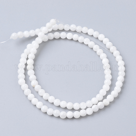 Естественных пресноводных стренг оболочки из бисера SHEL-S249-29-1