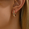 Elegant Classic Hollow Irregular Brass Hoop Earrings, with Cubic Zirconia, Golden, 20x18mm