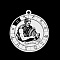Non-Tarnish 201 Stainless Steel Pendants, Laser Engraved Pattern, Flat Round with Constellation, Aquarius, 33x30x1mm, Hole: 2mm
