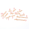 Twelve Constellations Word Zinc Alloy Cabochons, for Floating Lockets Glass Living Memory Lockets, Epoxy Resin Supplies Filling, Rose Gold, 7~10x15~48x2mm