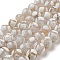 Tibetan Style dZi Beads Strands, Natural & Dyed Agate Beads, Round, Snow, Turtle Back Pattern, 8mm, Hole: 1.4mm, about 49pcs/strand, 14.49''(36.8cm)
