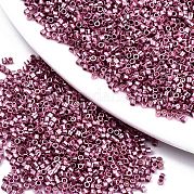 11/0 сорт стеклянный бисер SEED-S030-1203