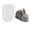 Easter Themed Candle Molds, Silicone Molds, for Homemade Beeswax Candle Soap, White, Rabbit Pattern, 7.6x5.1x4.5cm, Finished Product: 6.4x4.1x3.9cm