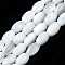 Natural Trochid Shell/Trochus Shell Beads Strands, Oval, Bleach, Seashell Color, 5x3mm, Hole: 0.7mm, about 79~80pcs/strand, 15.94 inch(40.5cm)