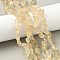 Raw Rough Natural Lemon Quartz Beads Strands, Nuggets, 6~24x7~16x4~10mm, Hole: 1mm, about 25~38pcs/strand, 15.35~15.94''(39~40.5cm)