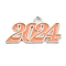 Alloy Enamel Pendants, Lead Free and Cadmium Free, Number 2024 Charm, Silver, Dark Salmon, 18.5x36.5x1.5mm, Hole: 4mm