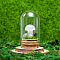 Glass Dome Cover with Natural Quartz Crystal Mushroom Inside, Cloche Bell Jar Terrarium with Cork Base, Micro Landscape Garden Decoration Accessories, 30x55mm