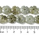 Природные лабрадорита бисер нитей G-H023-B19-01-5