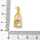Подвески из нержавеющей стали 304 с кубическим цирконием STAS-R229-29B-G-3