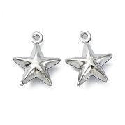 Подвески из нержавеющей стали марки 304 STAS-L024-012P