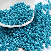 Выпечка краска стеклянные бусины SEED-H002-I-A508