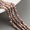 Natural Cultured Freshwater Pearl Beads Strands, Potato, Rosy Brown, 2.5~3mm, Hole: 0.5mm, about 82~83pcs/strand, 7.09 inch(18cm)