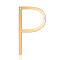 201 Stainless Steel Links connectors, Letter, Golden, Letter.P, 37x22x1mm, Hole: 1mm