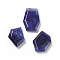 Natural Sodalite Pendants, Polygon Charms, 21~26x16~19x6mm, Hole: 1mm
