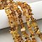 Natural Amber Beads Strands, Chip, 8.5~18x5~7x1~5mm, Hole: 0.6mm, 15.35 inch(39cm)