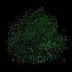 Светящиеся стеклянные бусины SEED-A033-07E-5