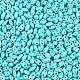 Выпечка краска стеклянные бусины SEED-T006-03H-2