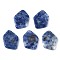 Natural Blue Spot Jasper Cabochons, Polygon, 19.5x14x3mm