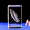 3D Inner Carved Sea Animal Glass Ornaments, for Home Office Desktop Decoration, Cuboid, Fish, 30x30x45mm