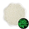 Luminous Glow in the Dark Cylinder Seed Beads, Spray Painted, Beige, 2.5mm, Hole: 1mm, about 700pcs/bag