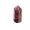 Pointed Tower Natural Rhodonite Healing Stone Wands, for Reiki Chakra Meditation Therapy Decoration, Hexagonal Prism, 15x15x35mm